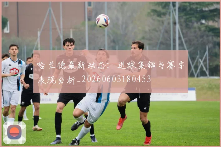 哈兰德最新动态:进球集锦与赛季表现分析_20260603180453